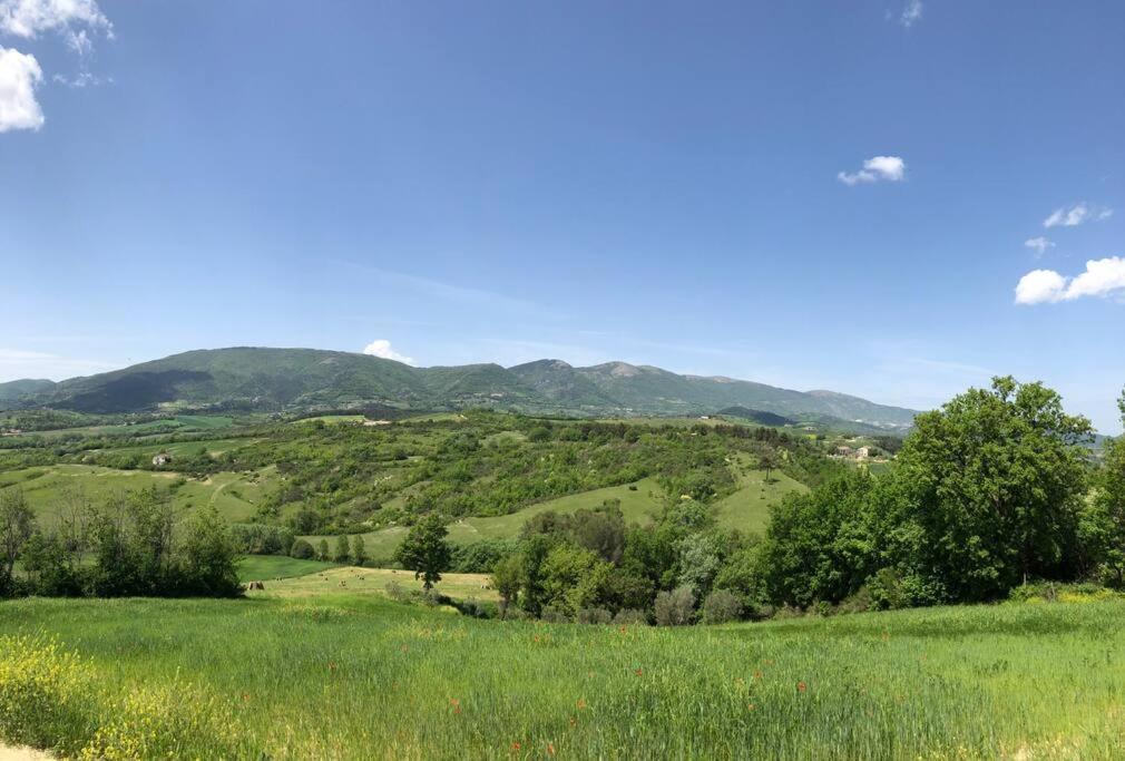 Casa Vacanze Vecchio Frantoio Residenza Leccino Spoleto Buitenkant foto