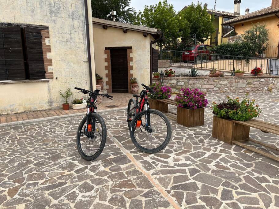 Casa Vacanze Vecchio Frantoio Residenza Leccino Spoleto Buitenkant foto